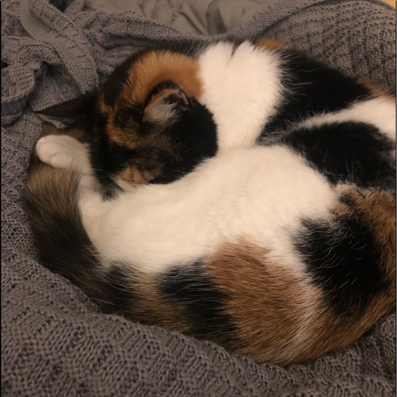 Meet your Posher, Breannan - Picture 1 of 1